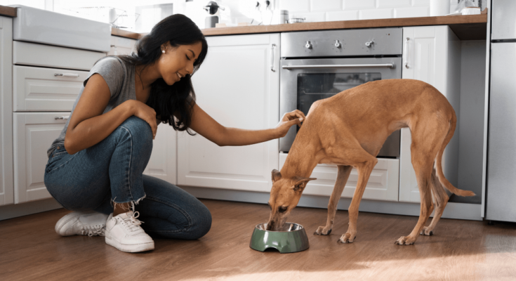 Instinct limited ingredient dog food