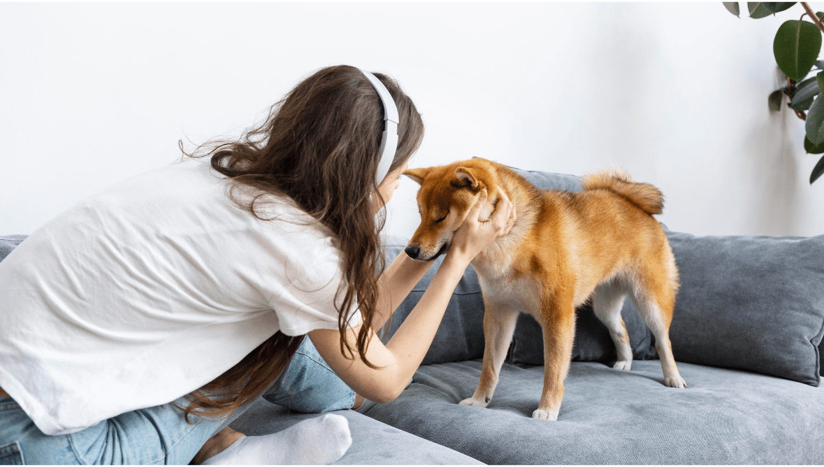 Can Puppies Eat Adult Dog Food?