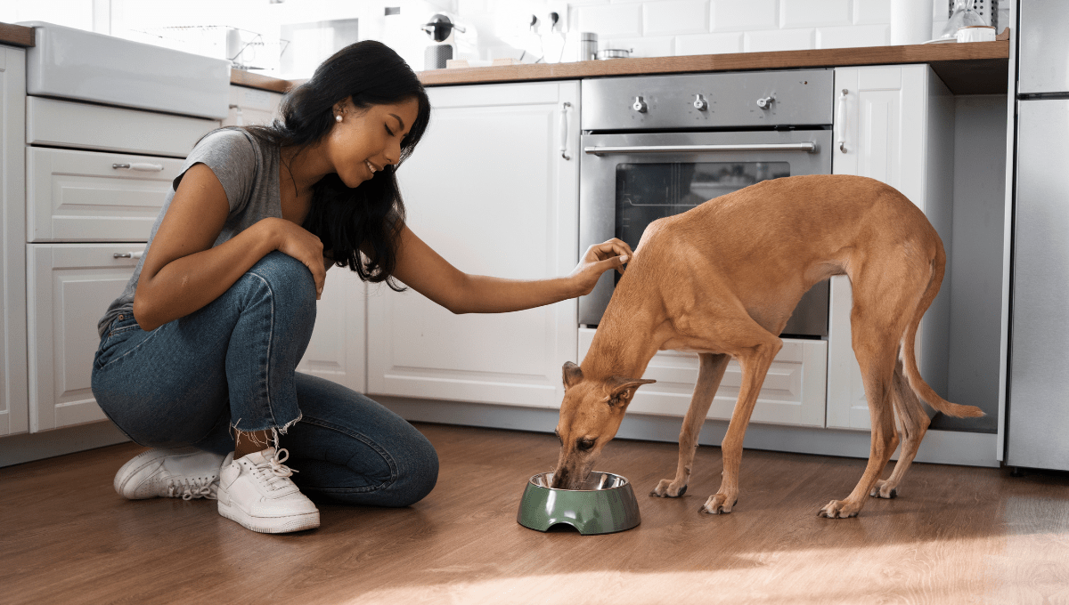 Can senior dogs eat puppy food?