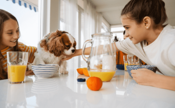 How to Know When Puppy Needs More Food