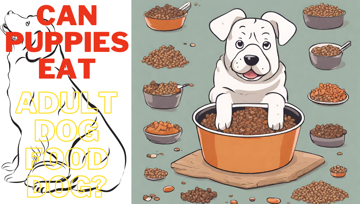 Can Puppies Eat Adult Dog Food?