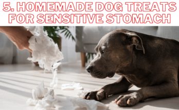 Homemade dog treats for sensitive stomach