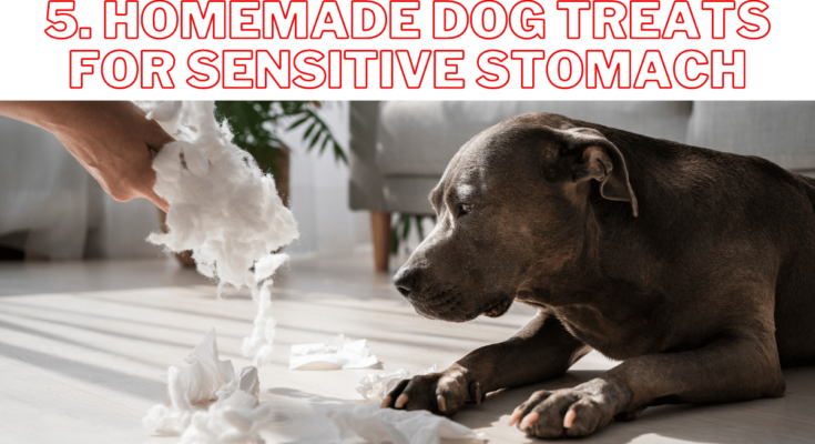 Homemade dog treats for sensitive stomach