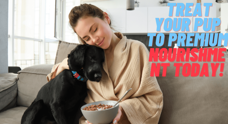 Homemade Vegan Dog Food Recipes Vet-Approved