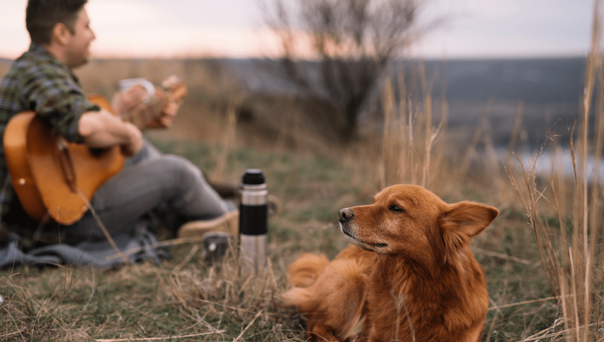 Natural Remedies for Dog Anxiety