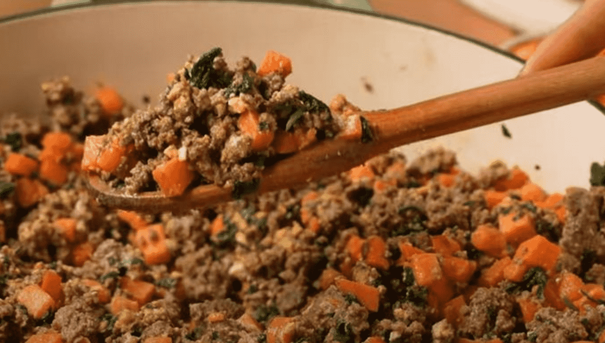 Homemade dog food recipes vet approved 